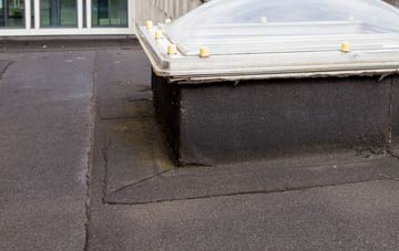 disadvantages of Treliske flat roofs