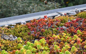 the cost of Treliske green roof installation
