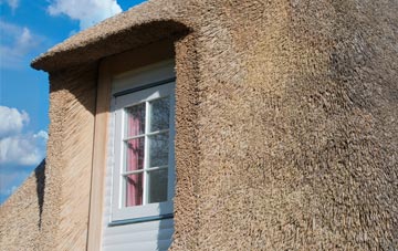 Treliske thatch roof disadvantages